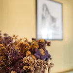 Ostria Studio, Kyparissia Oldtown Home Collection Hébergement de vacances Kyparissia